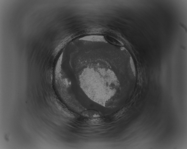 X0000103220059200809251145