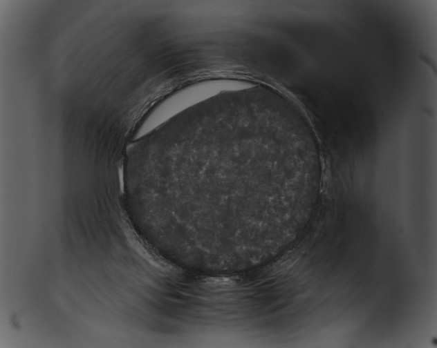 X0000103220061200809251145