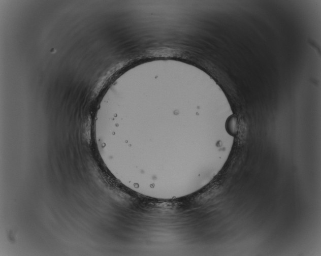 X0000103220064200809251145