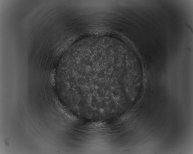 X0000103220065200809251145