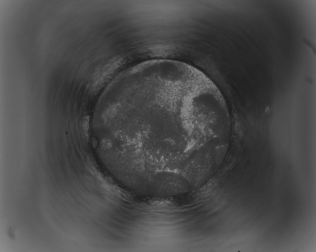 X0000103220066200809251145