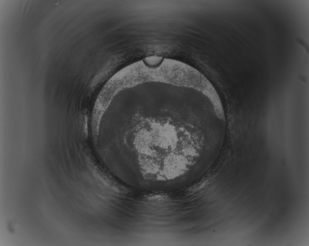 X0000103220067200809251145