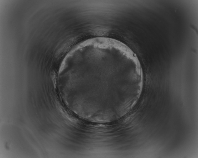 X0000103220069200809251145