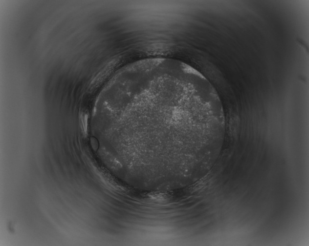 X0000103220070200809251145