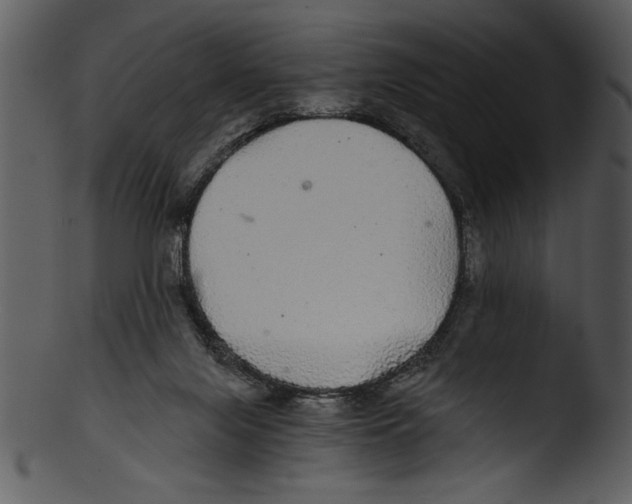 X0000103220071200809251145