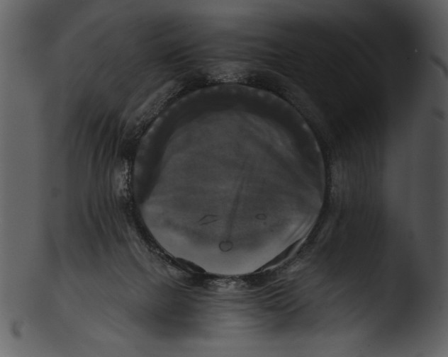 X0000103220073200809251146