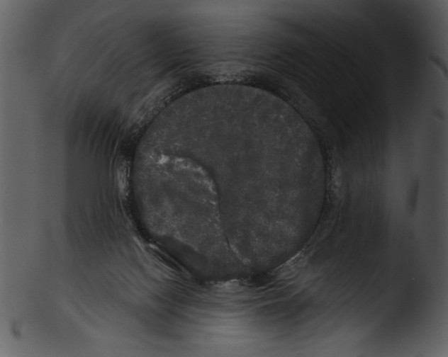 X0000103220074200809251146