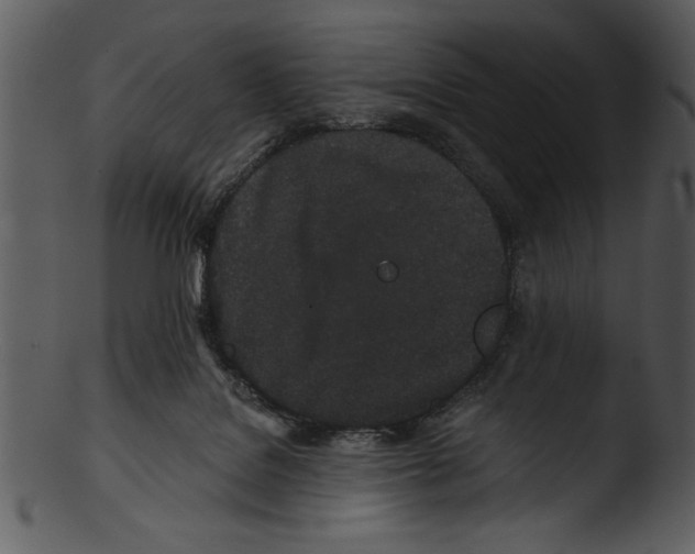 X0000103220076200809251146