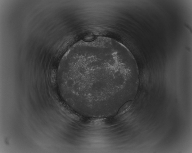 X0000103220078200809251146