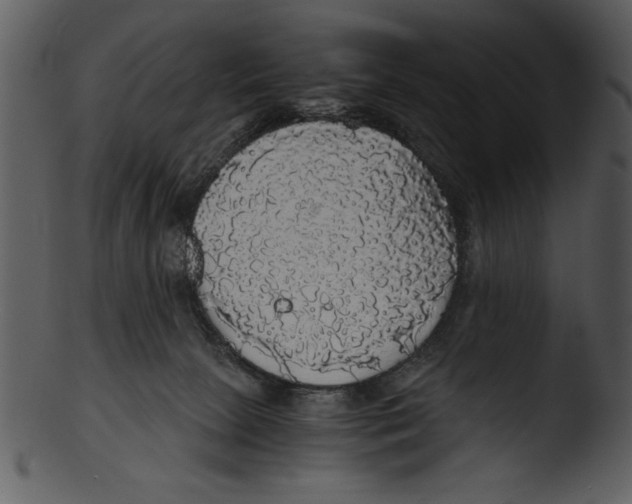 X0000103220081200809251146