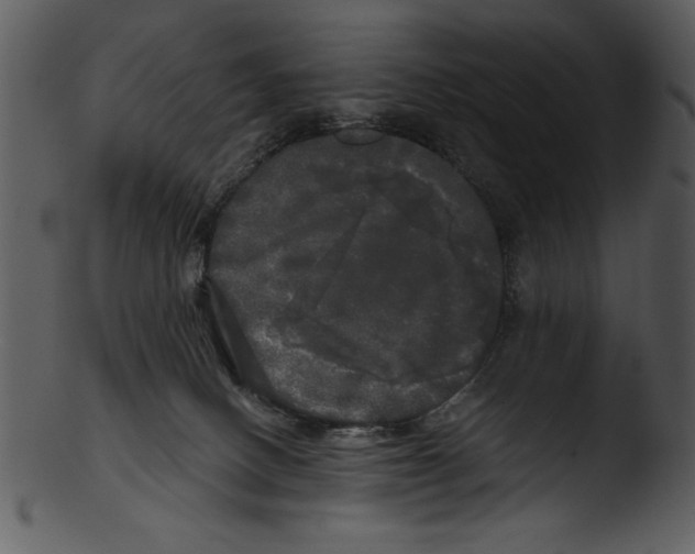 X0000103220082200809251146