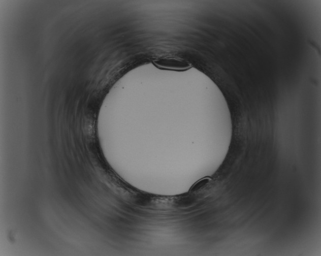 X0000103220084200809251146