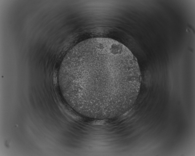 X0000103220086200809251146