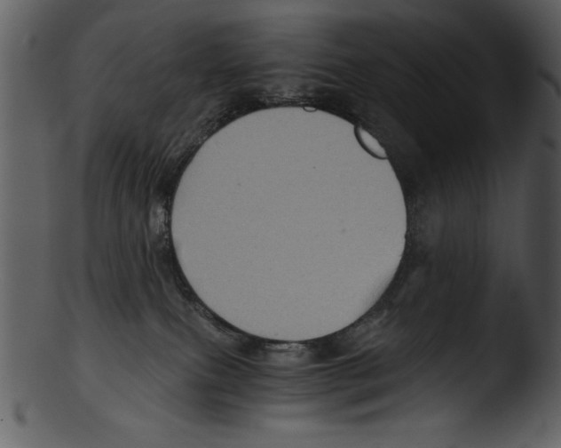 X0000103220087200809251146