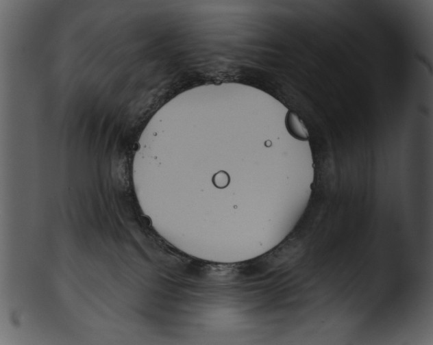 X0000103220088200809251146