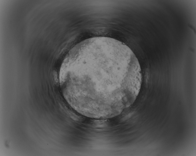 X0000103220089200809251146