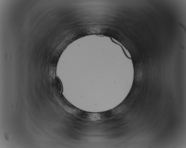 X0000103220091200809251146