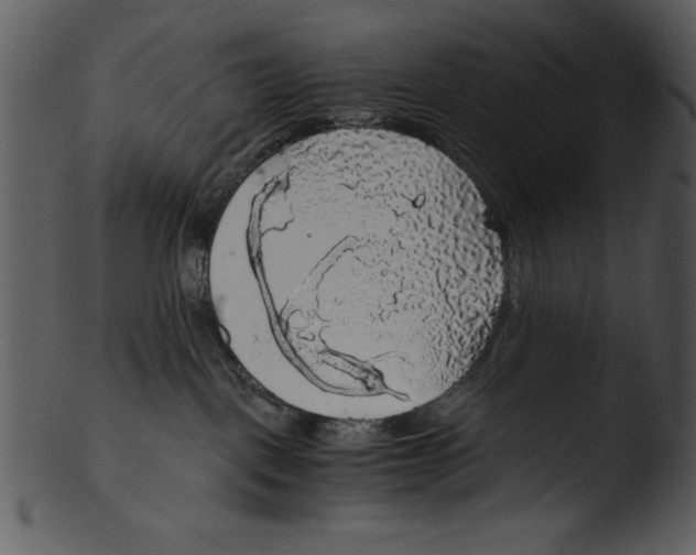 X0000103220093200809251146