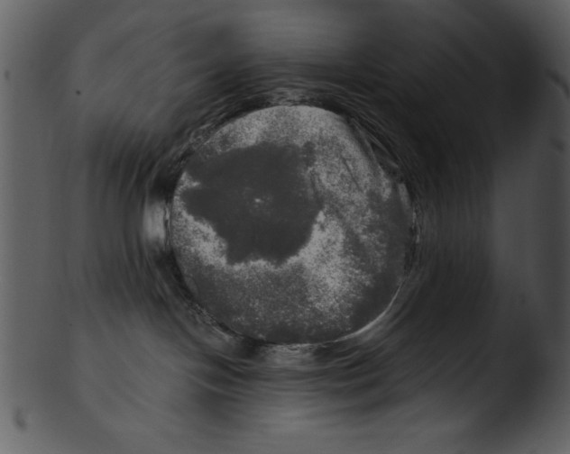 X0000103220094200809251146