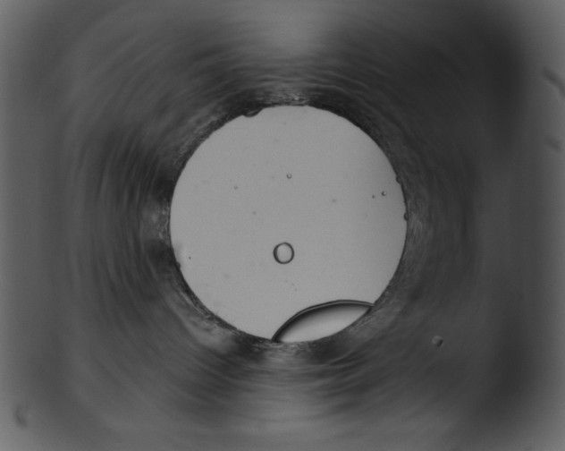 X0000103220096200809251146