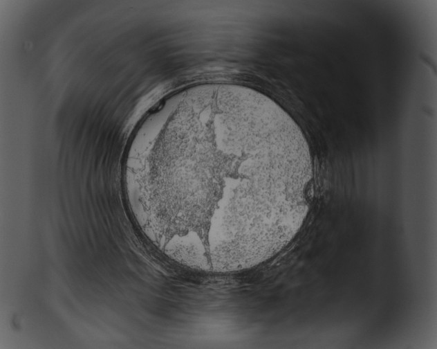 X0000103220099200809251145