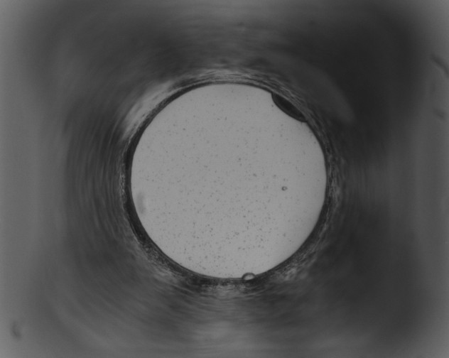 X0000103220103200809251145