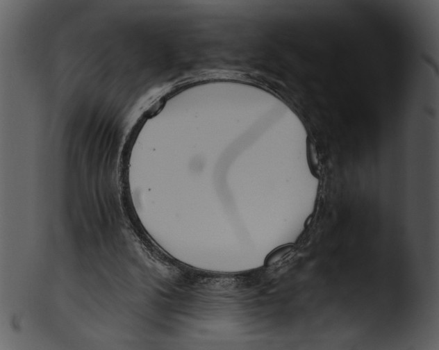 X0000103220104200809251145