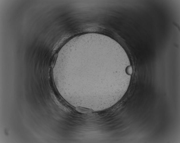 X0000103220106200809251145