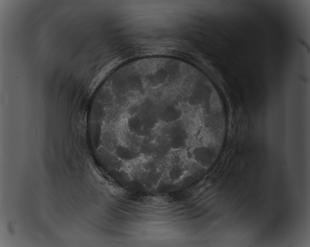 X0000103220107200809251145