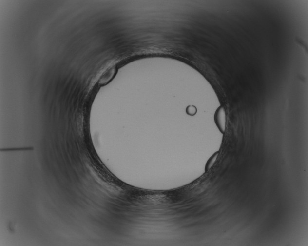 X0000103220108200809251145