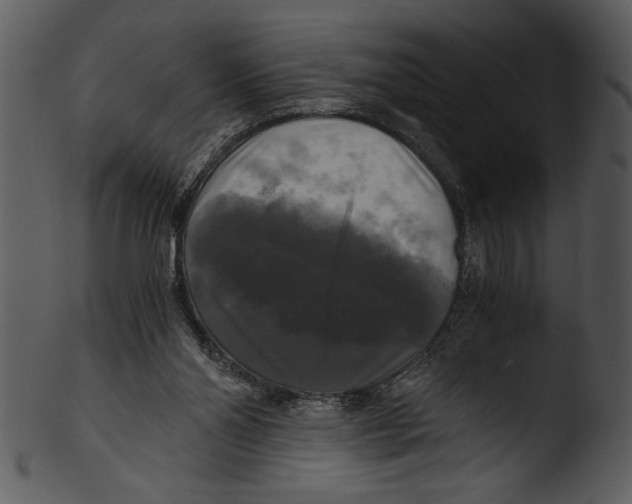 X0000103220110200809251145