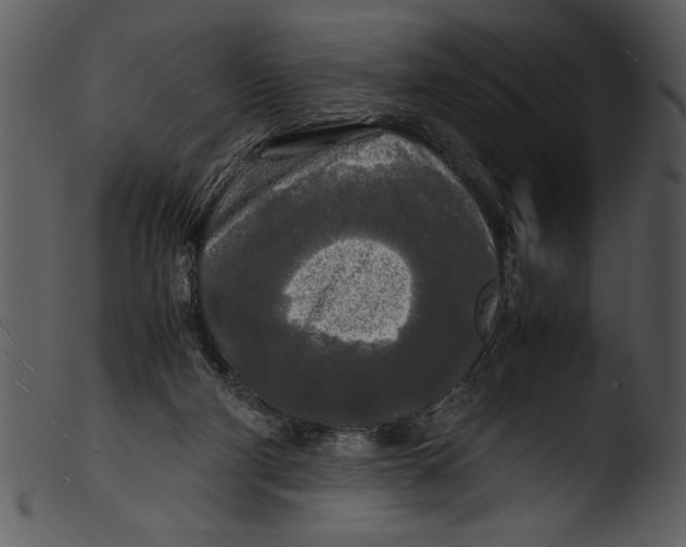 X0000103220114200809251145