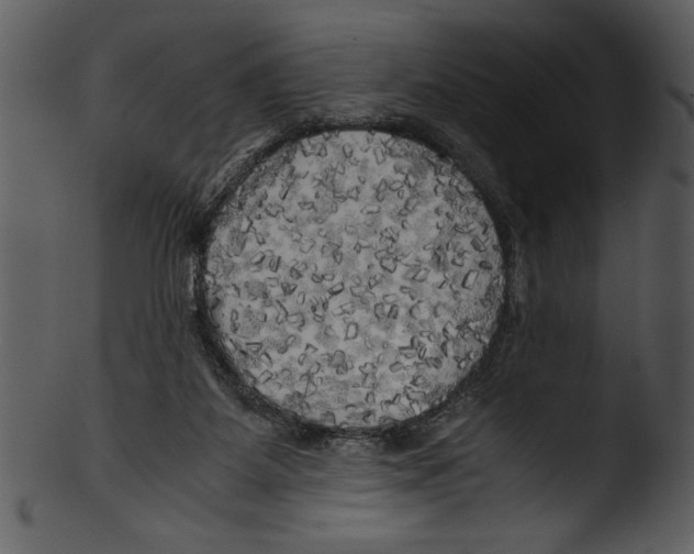 X0000103220115200809251145