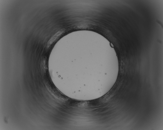 X0000103220116200809251145