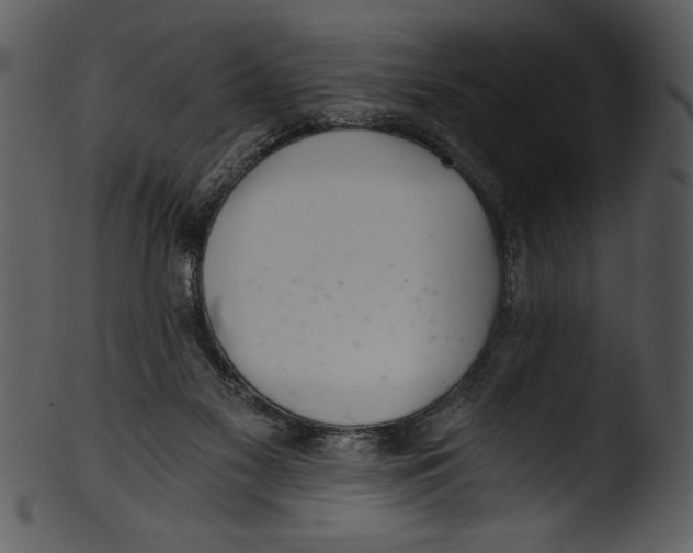 X0000103220117200809251145