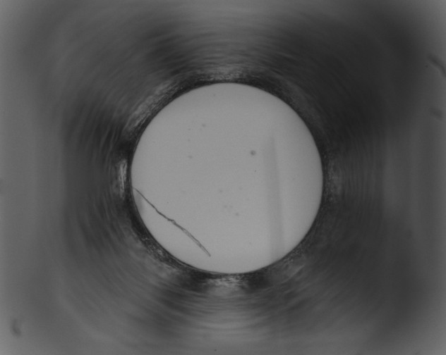 X0000103220118200809251145