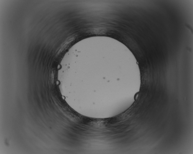 X0000103220120200809251145