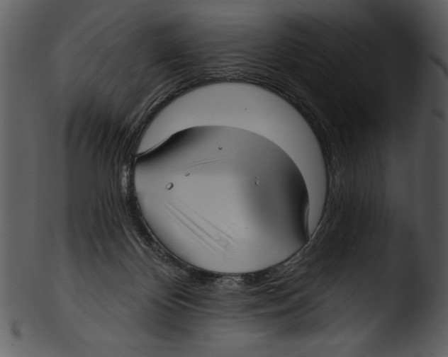 X0000103220124200809251145