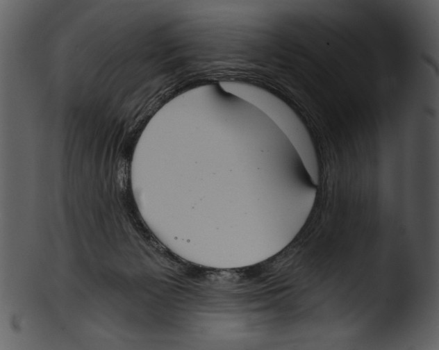 X0000103220125200809251144