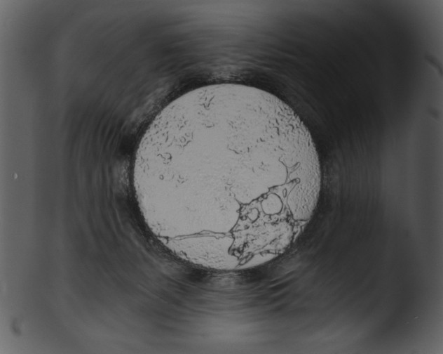 X0000103220127200809251144