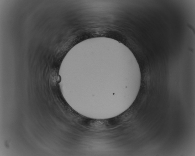 X0000103220129200809251144