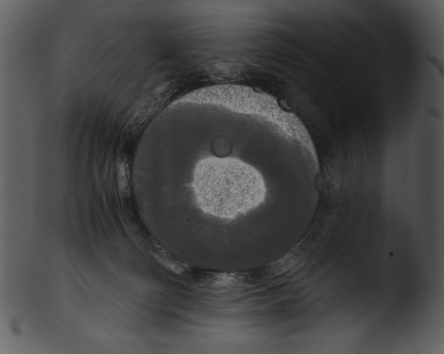 X0000103220130200809251144