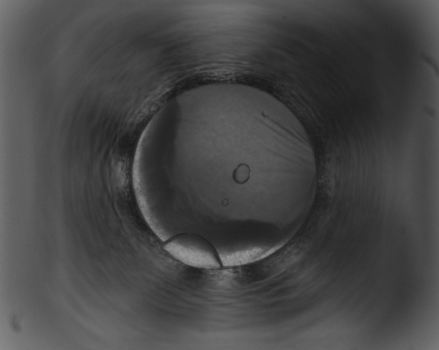 X0000103220131200809251144