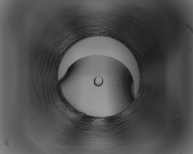 X0000103220132200809251144