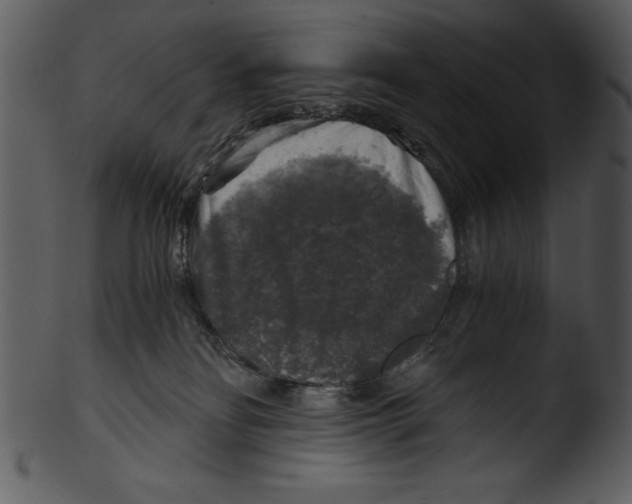 X0000103220134200809251144