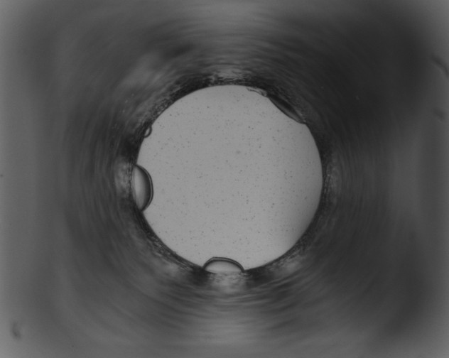 X0000103220135200809251144