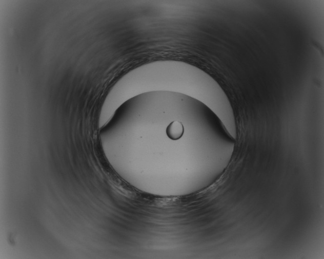 X0000103220136200809251144