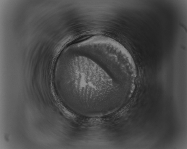 X0000103220145200809251143