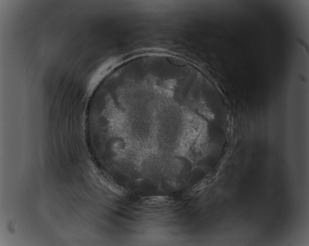 X0000103220151200809251143