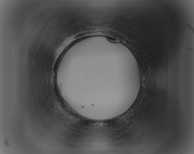 X0000103220152200809251143